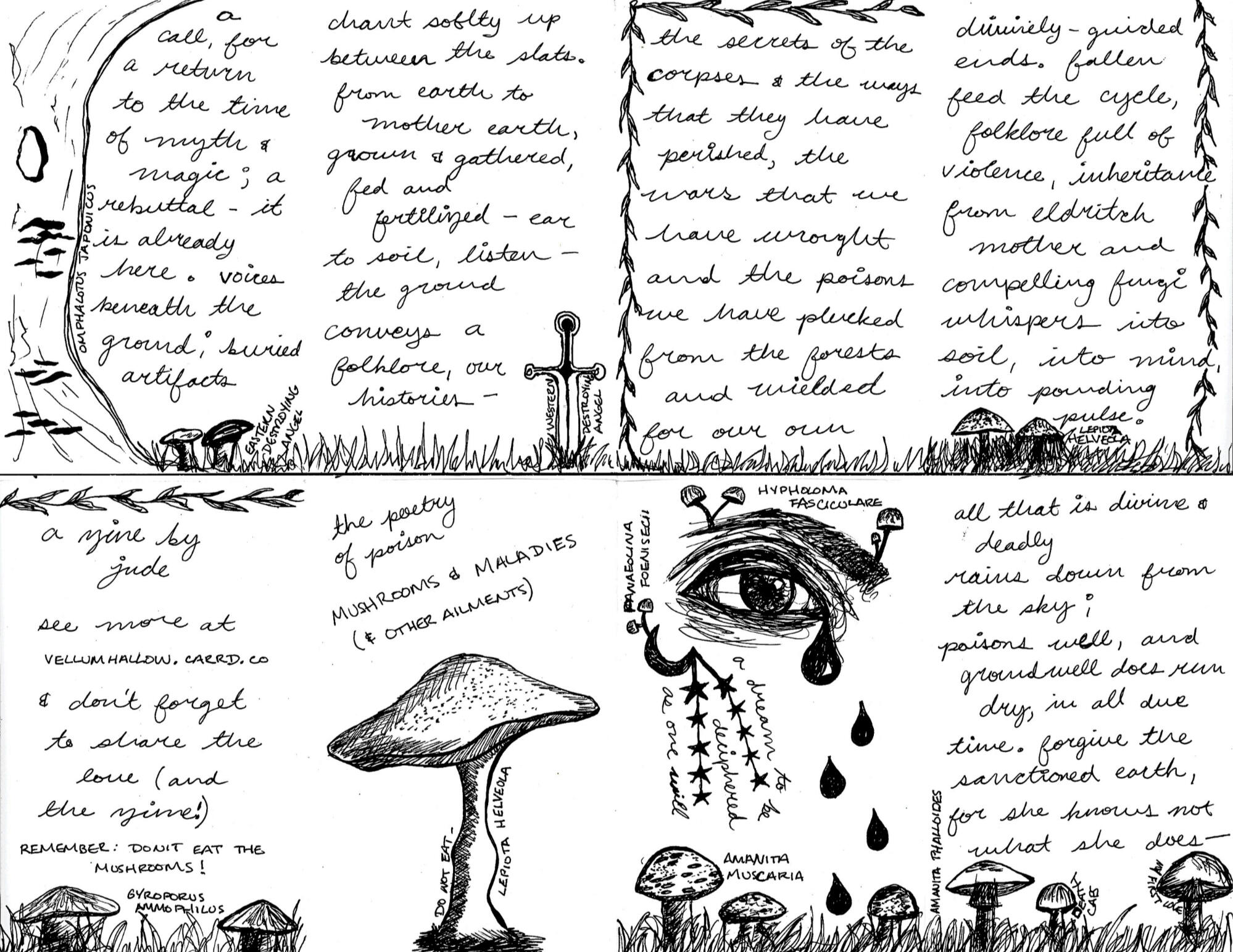 dreaming in academia series #1